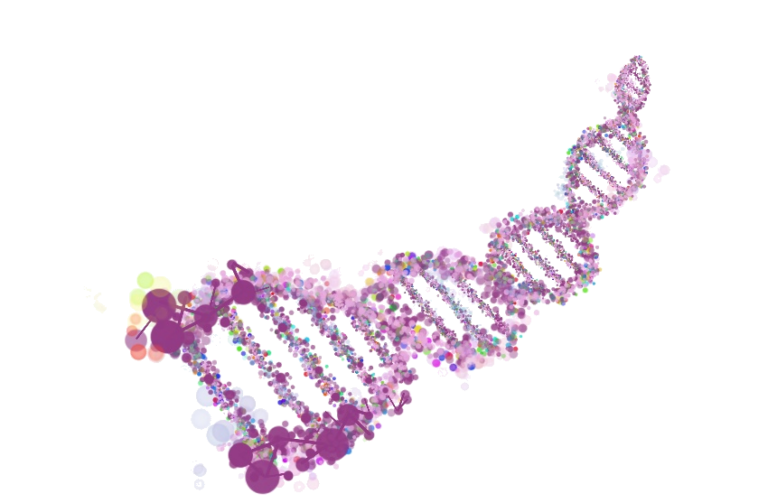Stylized illustration of a DNA double helix in purple and pink, representing genetic engineering and transposon-based insertion mutagenesis.